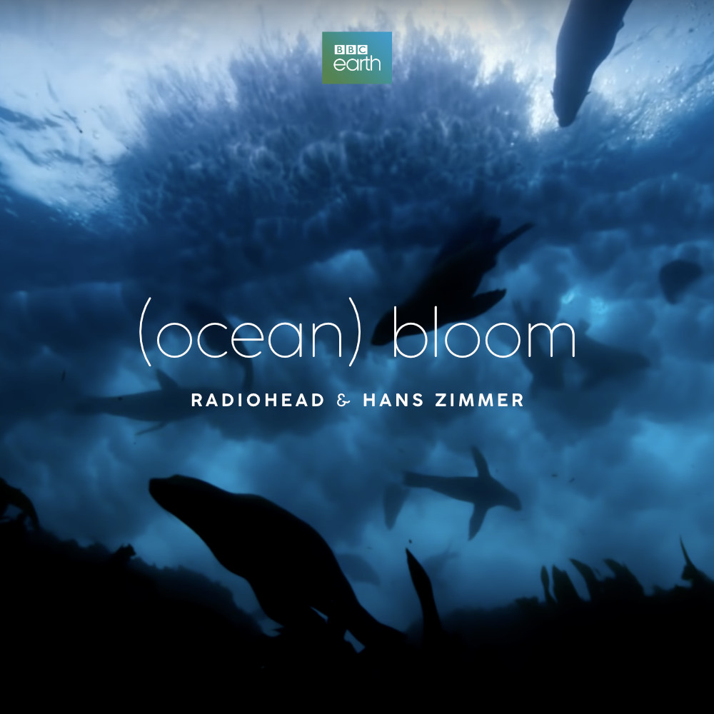 Album Cover (ocean) bloom (ocean) bloom